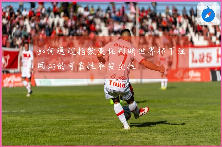 如何通过指数变化判断世界杯下注网站的可靠性和安全性
