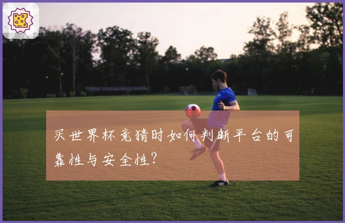 买世界杯竞猜时如何判断平台的可靠性与安全性？